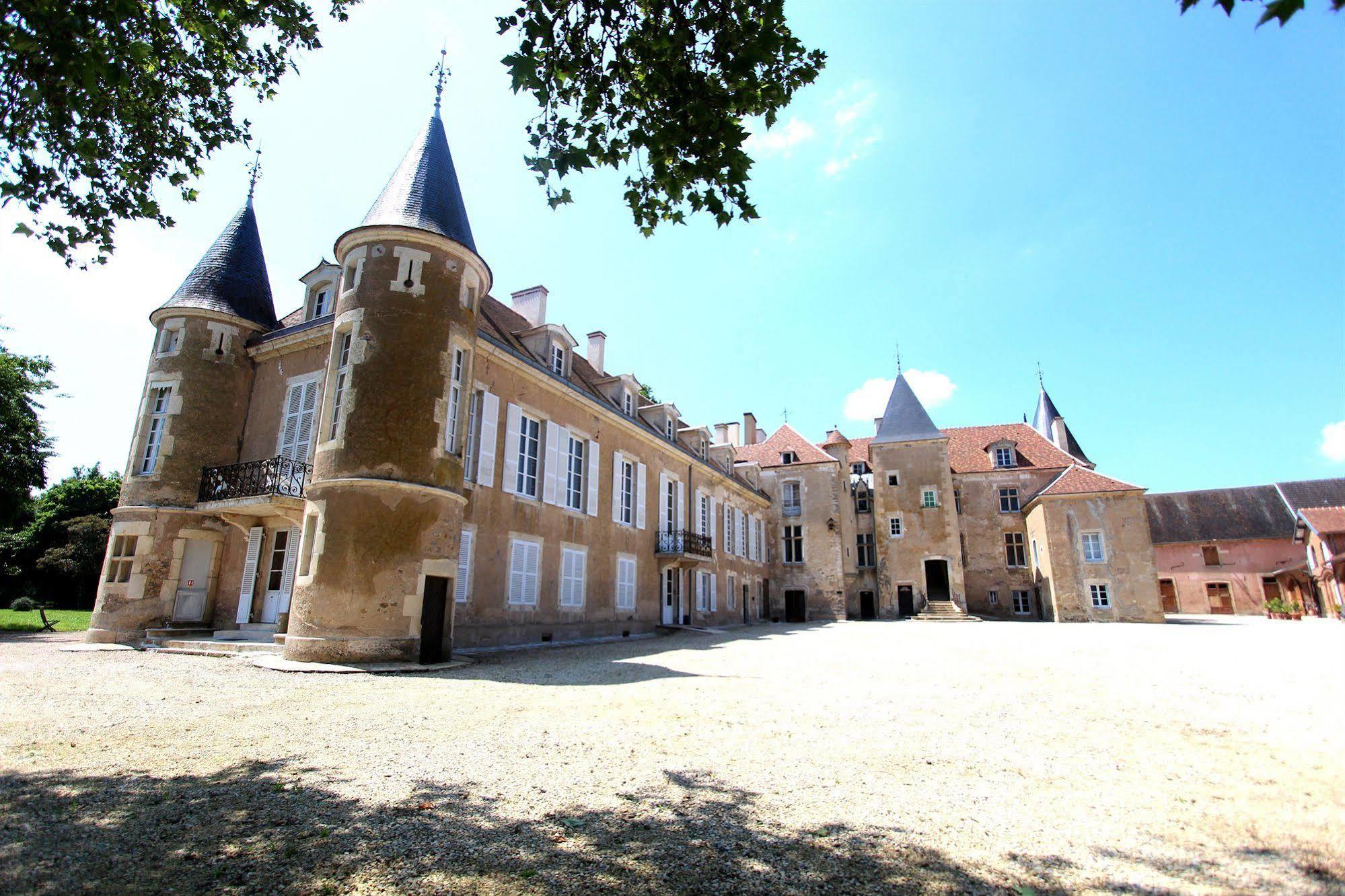 Chateau D'Island Vezelay Pontaubert Exterior photo