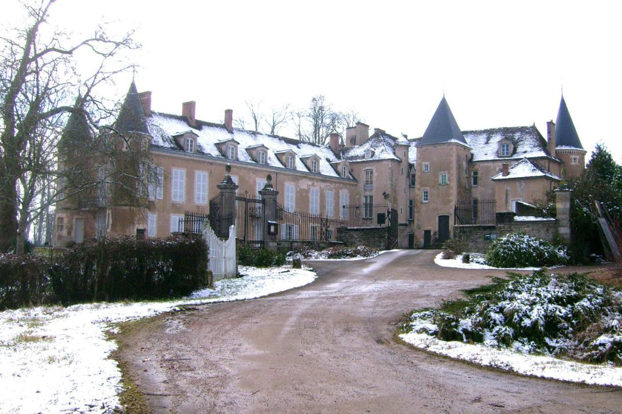 Chateau D'Island Vezelay Pontaubert Exterior photo