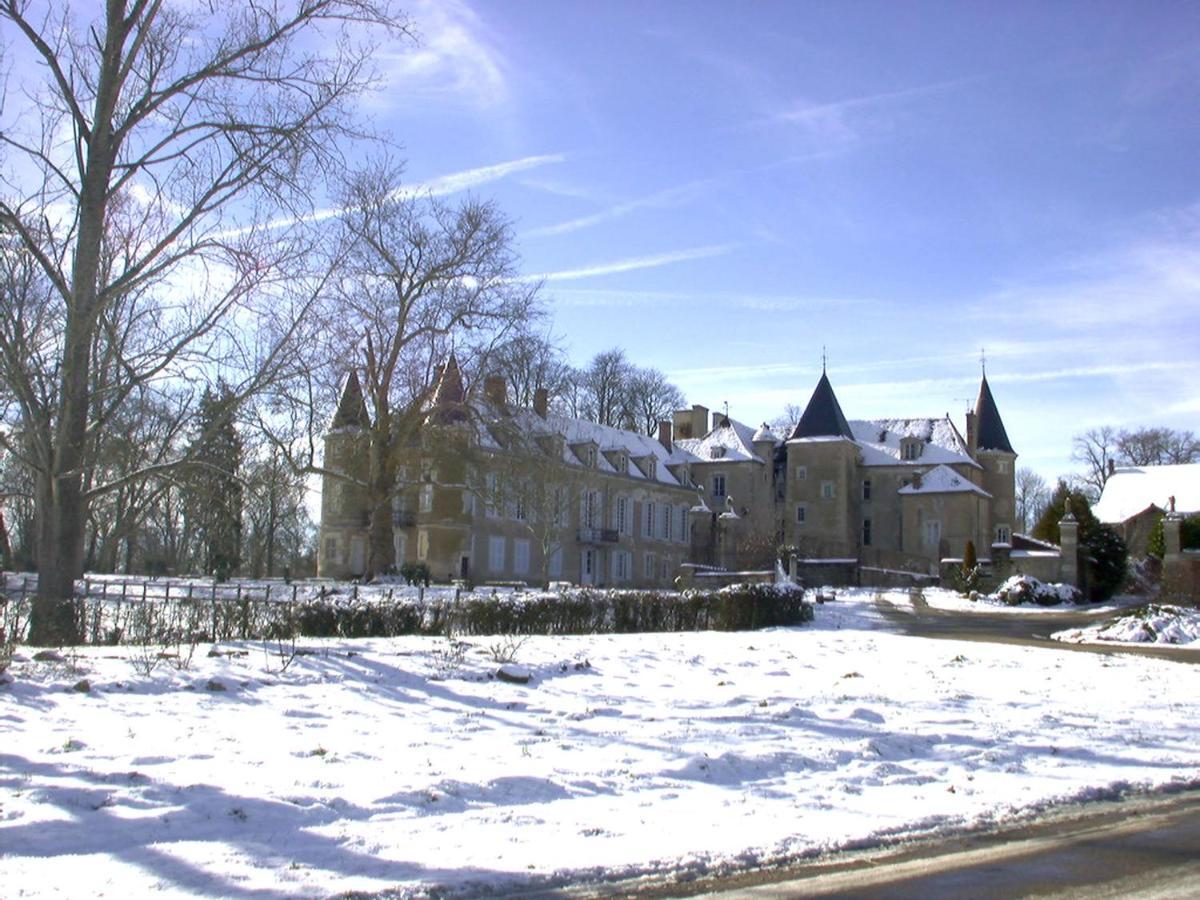 Chateau D'Island Vezelay Pontaubert Exterior photo